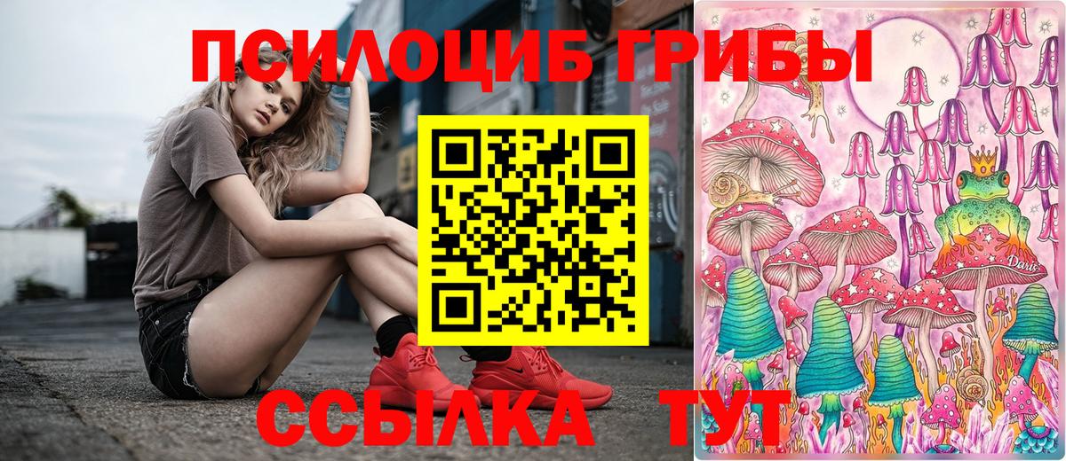 Псилоцибиновые грибы MAGIC MUSHROOMS Зерноград